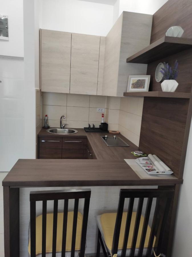 Studio Apartman Dani Banja Koviljača Eksteriør bilde