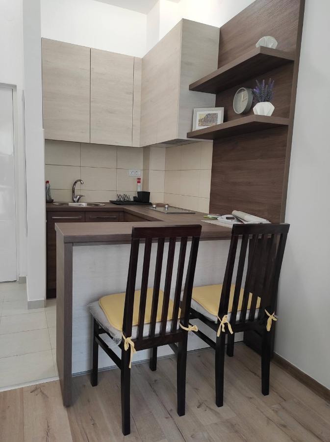 Studio Apartman Dani Banja Koviljača Eksteriør bilde